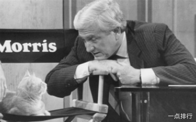 梅尔夫·格里芬 梅尔夫·格里芬