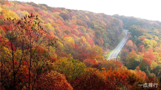 北卡罗来纳州 北卡罗来纳州