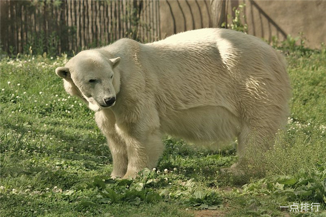 美国费城动物园