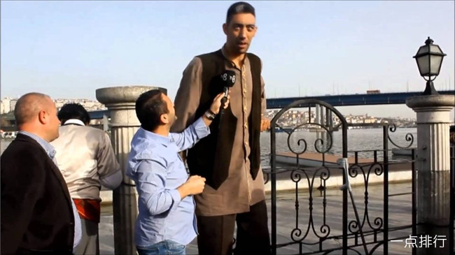 苏丹,8英尺3英寸 苏丹,8英尺3英寸